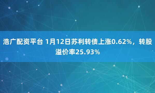 浩广配资平台 1月12日苏利转债上涨0.62%，转股溢价率25.93%